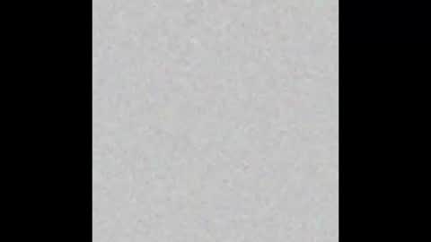 petitchat44 online show from 03.25.26