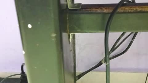 danna online show from 12.23.24