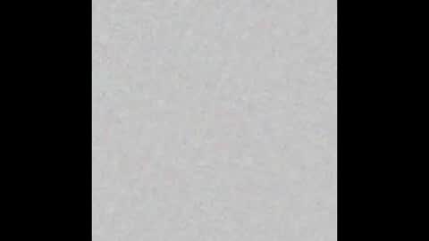 Fabi online show from 03.08.26