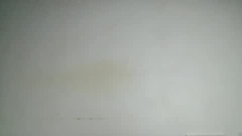 petitgirl88 online show from 06.24.26
