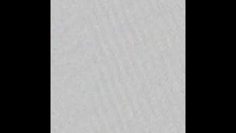 Snapshot of pickeler chatting on 01.26.25 big pickle online show from 01.26.25