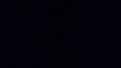 Snapshot of pickledalivemrf chatting on 02.19.26 pickledalivemrf online show from 02.19.26