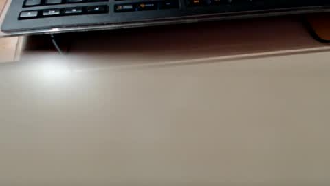 pier49x online show from 12.22.24