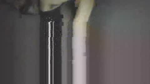 Snapshot of piggyes74 chatting on 09.21.25 piggyes 74 online show from 09.21.25