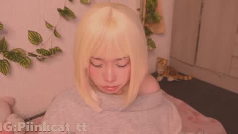 Snapshot of piinkcat chatting on 07.27.26 Emi online show from 07.27.26