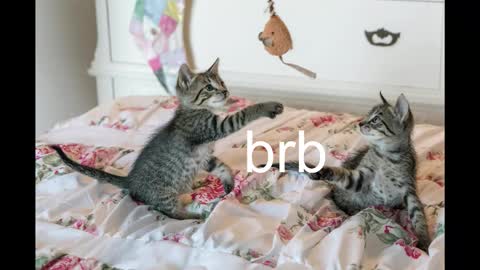 Kitty online show from 10.19.25