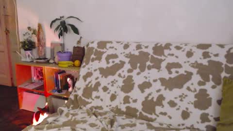 Sony online show from 11.01.25