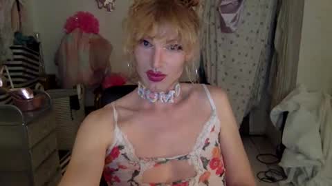 pinkfag online show from 03.07.25