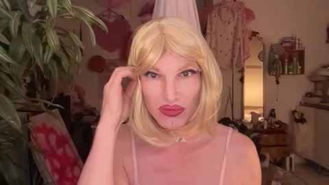 pinkfag online show from 02.11.26