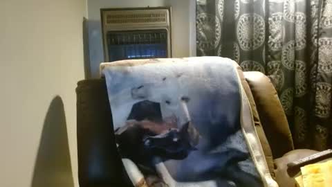 pirate334 online show from 03.24.26