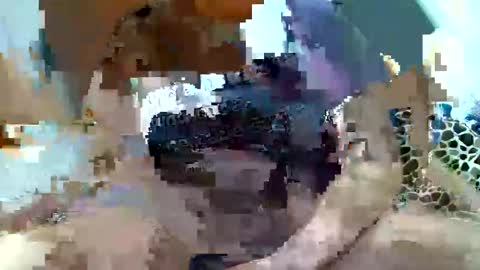 Snapshot of pislezg1 chatting on 02.07.25 pislezg1 online show from 02.07.25