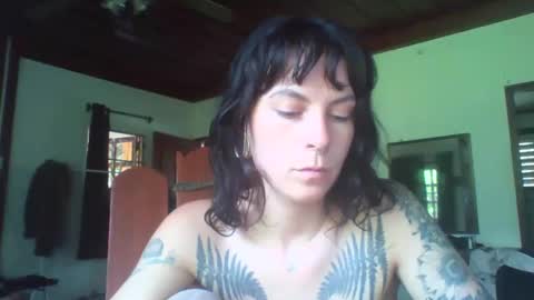 pixiecatfairy online show from 11.11.25