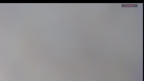 playboypetit online show from 01.08.25