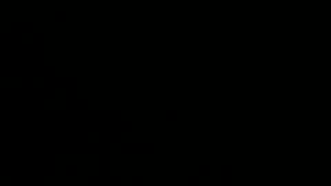 playerboybunny online show from 12.01.25