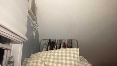 Snapshot of plushicore chatting on 02.15.26 stariette online show from 02.15.26