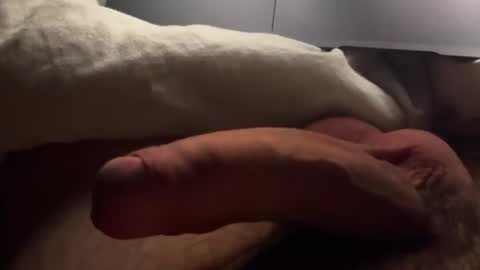 poivron2020 online show from 02.09.26