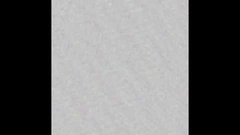 Polly online show from 10.16.25