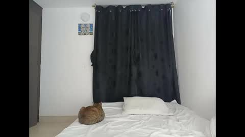 porcelainlux online show from 03.16.26