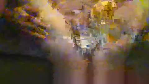 portal3444 online show from 11.30.25