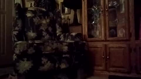 PipeLayerPlayer007 online show from 02.17.26