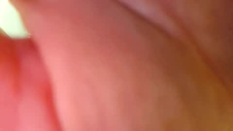 Snapshot of powermute22 chatting on 02.26.26 Big Dick online show from 02.26.26