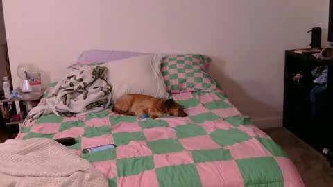 PAWG Pale Princess online show from 10.19.25