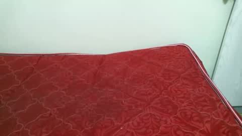 preshty online show from 11.14.25