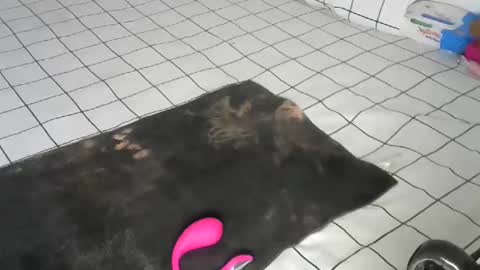 Pretty doll online show from 12.22.25