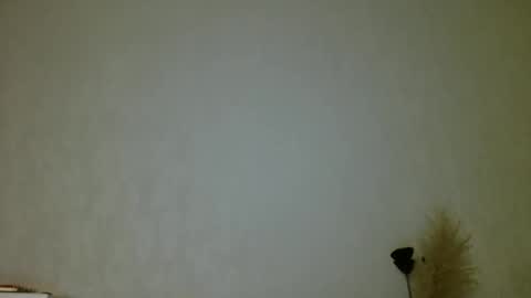 Snapshot of pretty_sharon chatting on 01.15.25 Sharon online show from 01.15.25