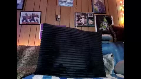 prettysolid7 online show from 02.13.26