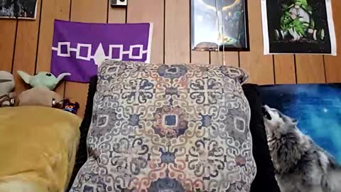 Snapshot of prettysolidd7 chatting on 01.28.25 prettysolidd7 online show from 01.28.25
