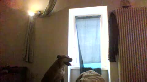 Snapshot of priante1983 chatting on 01.08.26 BBW facial slave online show from 01.08.26