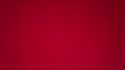 pricilaa online show from 04.14.26