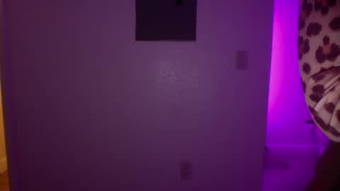 Snapshot of princesstwerkk chatting on 04.06.26 Princess Twerkk online show from 04.06.26