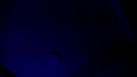 PRISHArMANA online show from 02.21.25