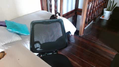 Snapshot of prismm_ chatting on 09.14.25 prismm_ online show from 09.14.25