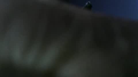 privatefuckit online show from 01.05.26