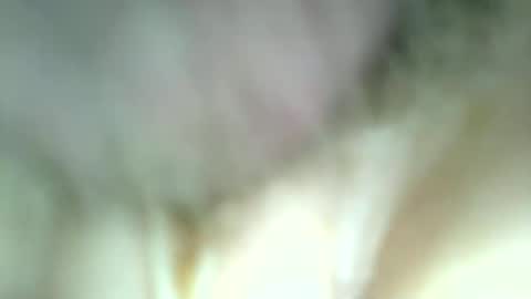 Snapshot of protecbuzz chatting on 12.13.25 needtocum online show from 12.13.25