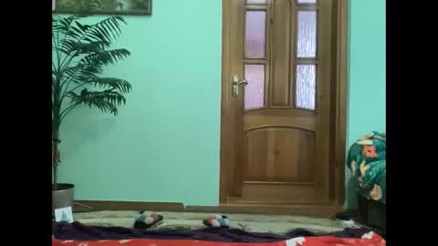 proud sweet 21 online show from 04.16.26