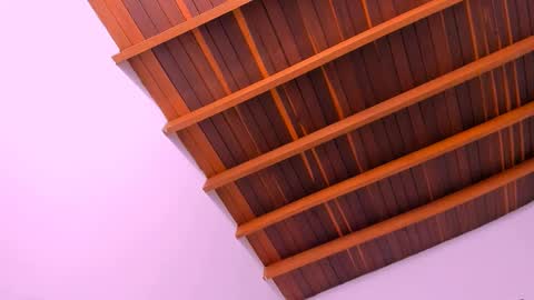 Mara online show from 12.16.24