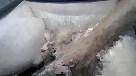 psfunman online show from 02.13.25