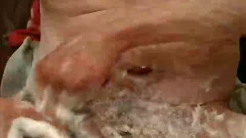 Snapshot of pulepower chatting on 11.23.25 pulepower online show from 11.23.25