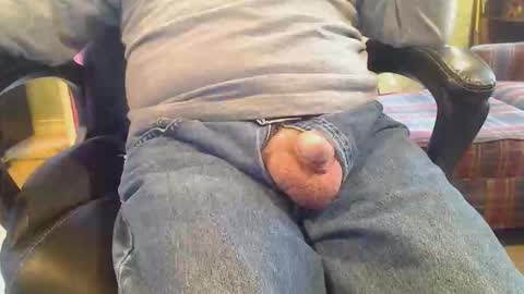 pulltoy1 online show from 02.03.26