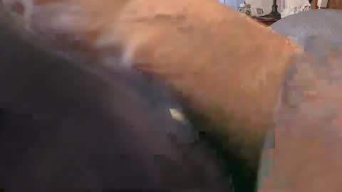 purdyguy7777 online show from 02.24.26