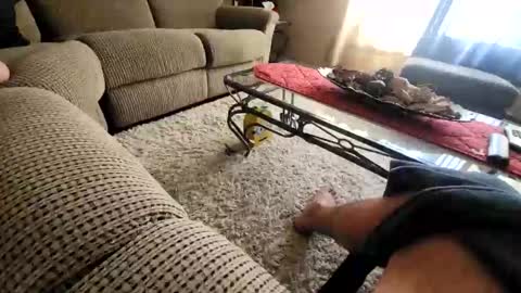 purdyguy7777 online show from 03.20.26