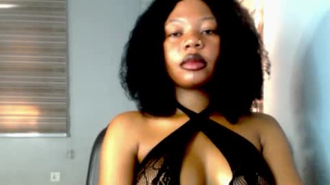 stella online show from 02.17.26