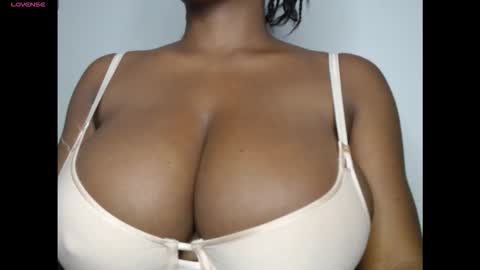 pussyxcockx online show from 01.17.26