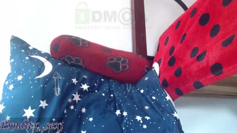 Snapshot of pxnditx_sexi chatting on 02.19.25 Abigail aby online show from 02.19.25