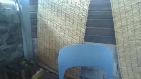 Snapshot of python974 chatting on 03.10.26 Python online show from 03.10.26