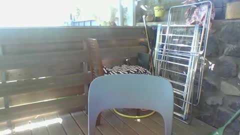 Snapshot of python974 chatting on 04.06.26 Python online show from 04.06.26